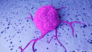 German Cancer Congress: Fighting disease with personalized medicine | Sci-Tech - Health Council German Cancer Congress: Fighting disease with personalized medicine | Sci-Tech - Health Council