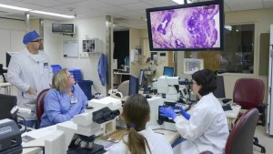 Frozen Section Analysis for Breast Cancer Frozen Section Analysis for Breast Cancer
