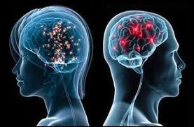 Brain disorders are a medical emergency - Health Council Brain disorders are a medical emergency - Health Council