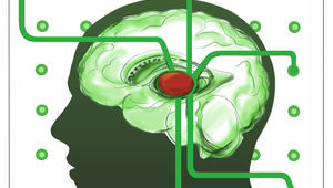 A Gene In The Brain Helps Us Filter Out Distracting Information | Popular Science - Health Council A Gene In The Brain Helps Us Filter Out Distracting Information | Popular Science - Health Council