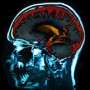 Combined screening could detect early schizophrenia - Health Council Combined screening could detect early schizophrenia - Health Council