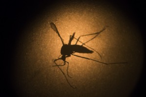 2nd Zika case in N.J. confirmed; CDC expands travel warning | NJ.com - Health Council 2nd Zika case in N.J. confirmed; CDC expands travel warning | NJ.com - Health Council