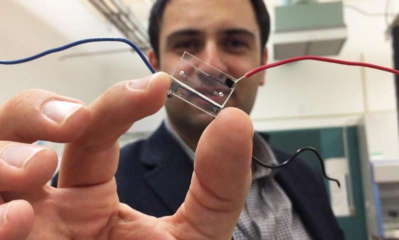 "Tiny Sensor Detects Cancer Cells Through Multiple Channels at The Same Time" - Health Council "Tiny Sensor Detects Cancer Cells Through Multiple Channels at The Same Time" - Health Council