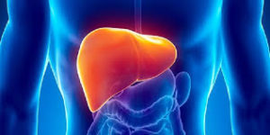 liver The 1st HIV- Positive Liver Transplant - Health Council