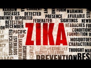 zika virus The Latest Update on the Zika Virus - Health Council