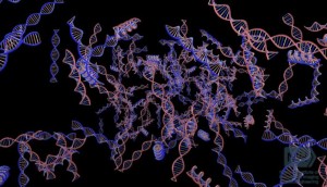 genes Researcher's Find the Genetic Cause of Disabilities in Children - Health Council