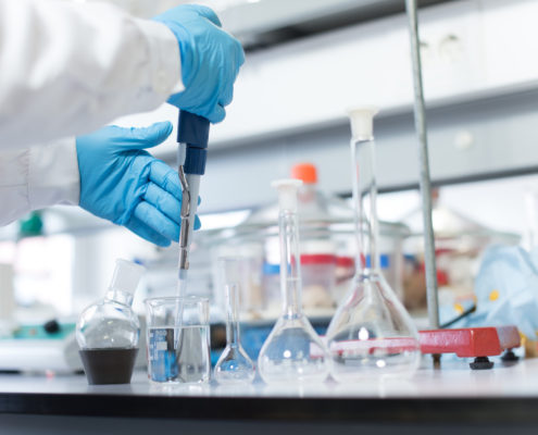 In Search For Cures, Scientists Create Embryos That Are Both Animal And Human - Health Council In Search For Cures, Scientists Create Embryos That Are Both Animal And Human - Health Council