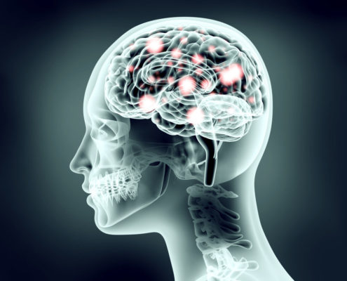 The Uncertain Brain: Untangling Ambiguity in Neural Circuits - Health Council The Uncertain Brain: Untangling Ambiguity in Neural Circuits - Health Council