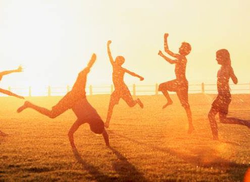 Why Vitamin D is Important - Health Council Why Vitamin D is Important - Health Council