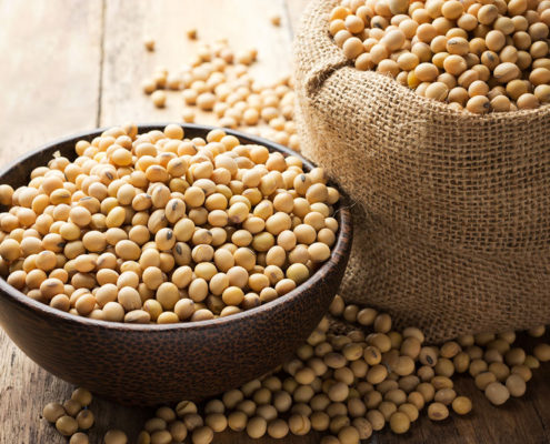 Soy Intake Helps Osteoporosis - Health Council Soy Intake Helps Osteoporosis - Health Council