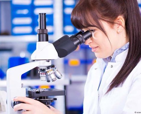 Neuroscientists Discover new Learning Rule for Pattern Completion - Health Council Neuroscientists Discover new Learning Rule for Pattern Completion - Health Council