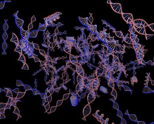 Will Genetic Advances Make Sex Obsolete? - Health Council Will Genetic Advances Make Sex Obsolete? - Health Council