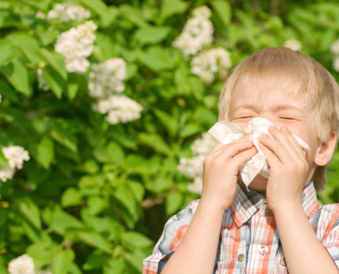 Easing Your Child's Allergies - Health Council Easing Your Child's Allergies - Health Council