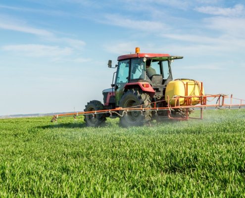 Chemicals in Food Packaging, Fungicides Might Damage Children's Teeth - Health Council Chemicals in Food Packaging, Fungicides Might Damage Children's Teeth - Health Council