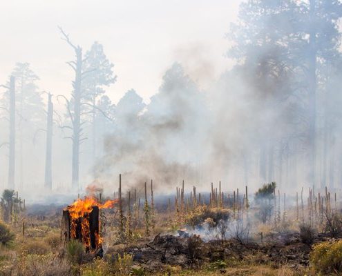 Longer Fire Season Heightens Air Quality-Related Health Concerns - Health Council Longer Fire Season Heightens Air Quality-Related Health Concerns - Health Council