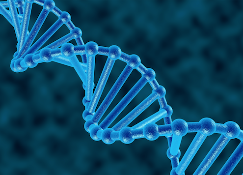 Stem Cells May Offer New Hope to Stroke Survivors - Health Council Stem Cells May Offer New Hope to Stroke Survivors - Health Council