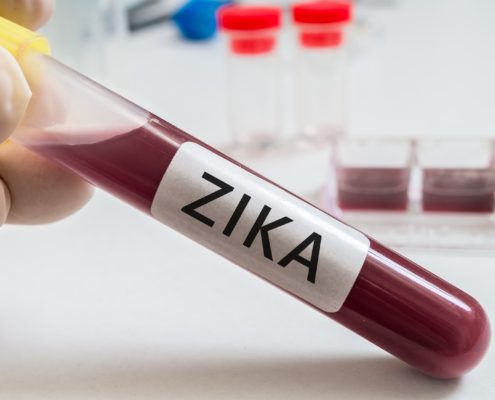 Zika Virus - Health Council Zika Virus - Health Council