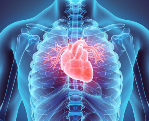 Heart - American Health Council Heart - American Health Council