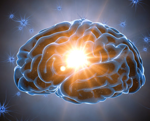 Brain Brain