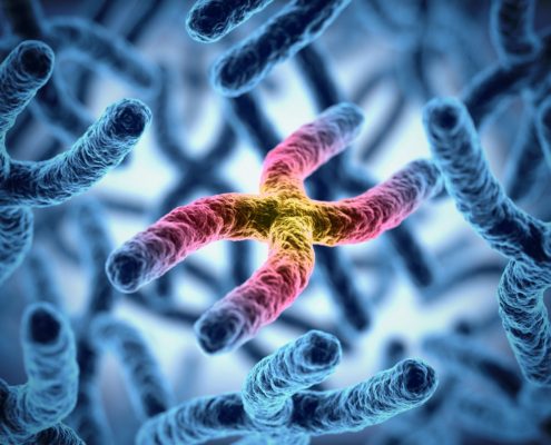 Genes Genes