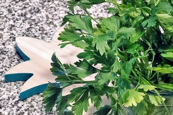 I've been so excited to get cooking with some of my favorite ingredients: thyme, oregano, chives, rosemary, and mint. But my conundrum has been keeping cut herbs fresh. Check out this simple trick for prolonging the life of your herbs!