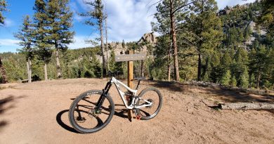 Little Scraggy Pine, CO Little Scraggy Pine, CO