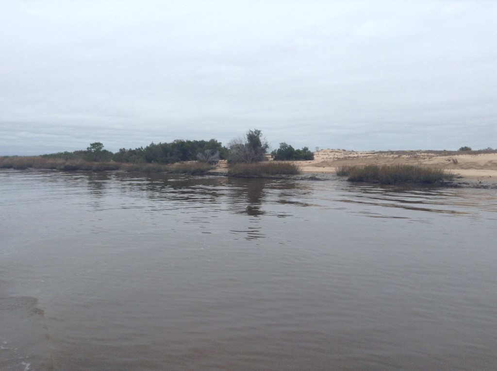 Broughton Island Sand Dune