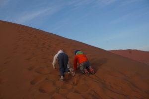 Avital and Eliav Climbing