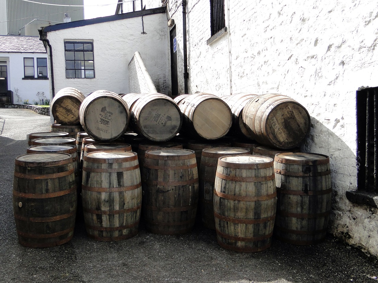 whisky 4