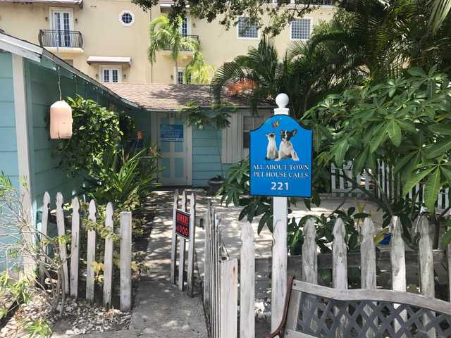 ocean ave pet hospital