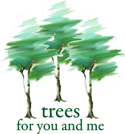 Trees4U&MFinal