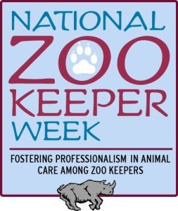 NZKW logo 2 (1)