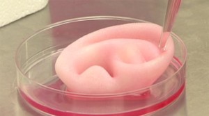 3d printed ear 3d printed ear