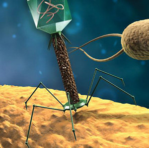 nanotechnology nanotechnology