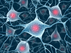 Parkinson's: researchers discover point at which protein harms brain cells - Medical News Today - Health Council Parkinson's: researchers discover point at which protein harms brain cells - Medical News Today - Health Council