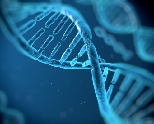 A Diet Mimicking Fasting Initiates the Killing of Auto-Immune Cells - Health Council A Diet Mimicking Fasting Initiates the Killing of Auto-Immune Cells - Health Council