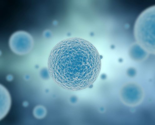 OIE’s new Strategy to Fight Antimicrobial Resistance More Effectively - Health Council OIE’s new Strategy to Fight Antimicrobial Resistance More Effectively - Health Council