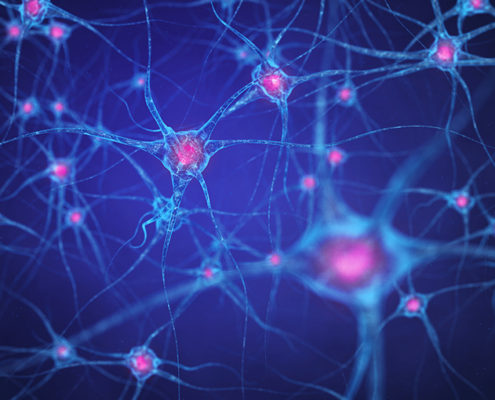 Antibiotics that kill gut Bacteria Also Stop Growth of new Brain Cells - Health Council Antibiotics that kill gut Bacteria Also Stop Growth of new Brain Cells - Health Council
