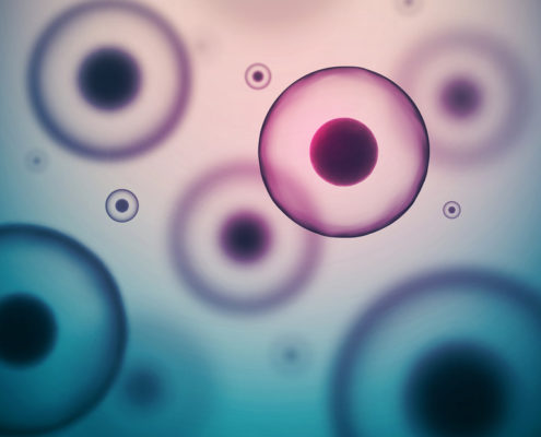 Why Lab-Made Stem Cells Might Fail: Errors in DNA Folding - Health Council Why Lab-Made Stem Cells Might Fail: Errors in DNA Folding - Health Council