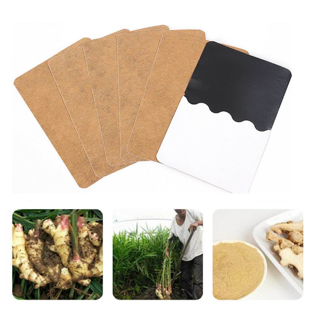 Amazing Herbal Ginger Patch® Best Gadget Store