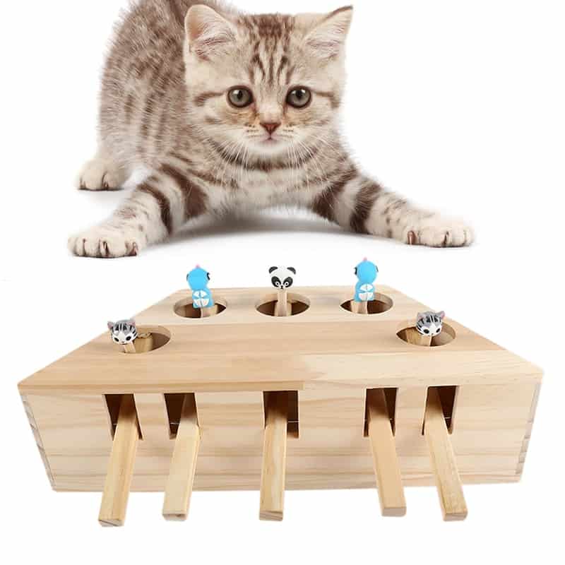 Cat Hunt Toy Best Gadget Store