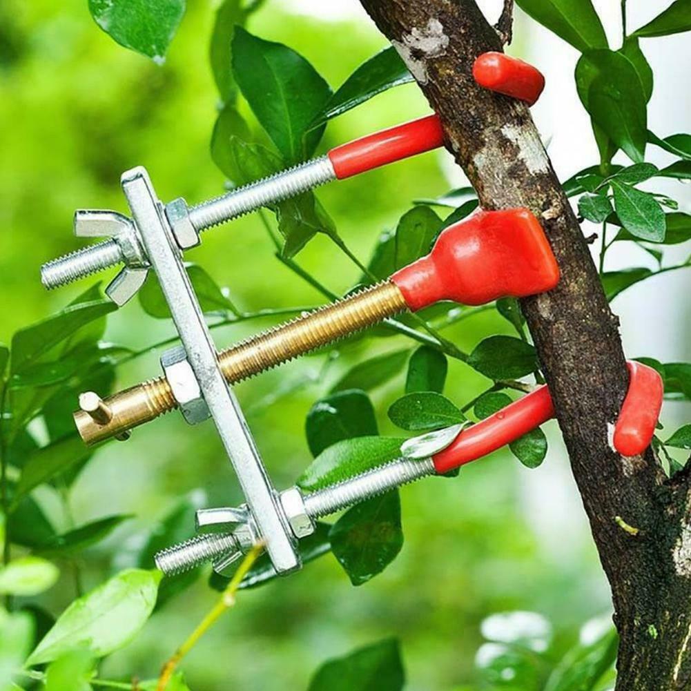 Bonsai Tools for Garden Accessories® Best Gadget Store