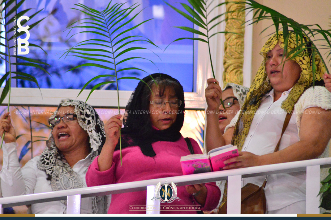 01-22-2018_cca_encinos11