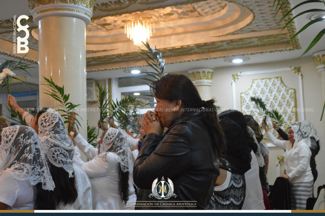 01-22-2018_cca_encinos2