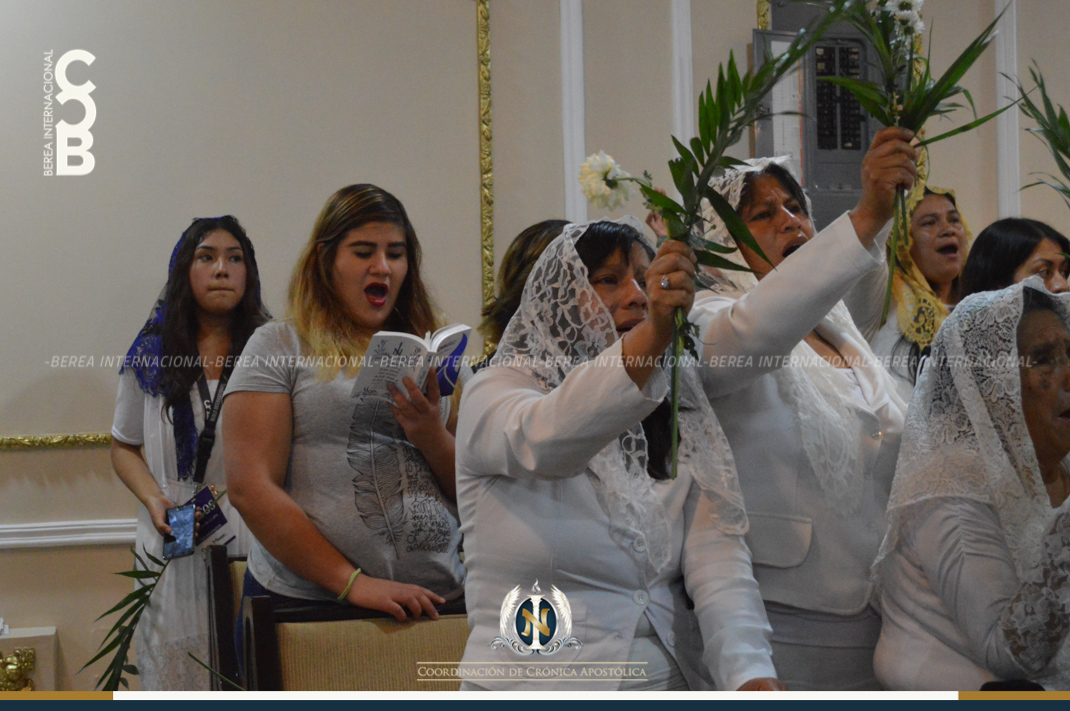 01-22-2018_cca_encinos4