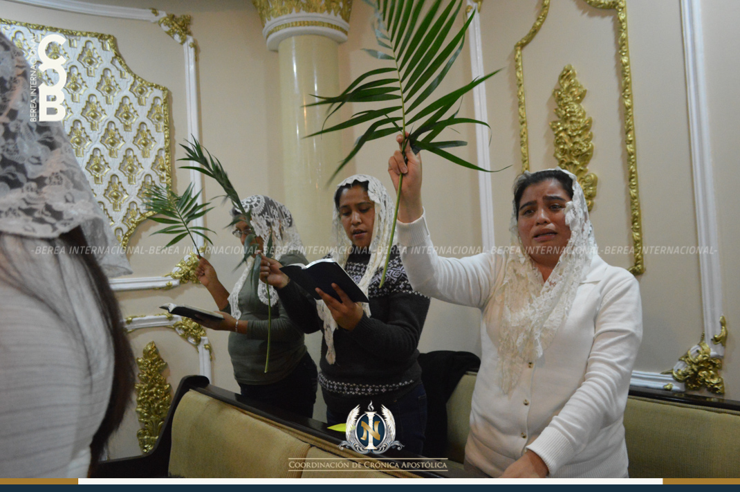 01-22-2018_cca_encinos5