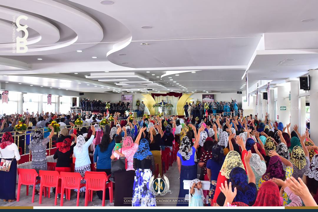 08-10-2018_cca_coyula1