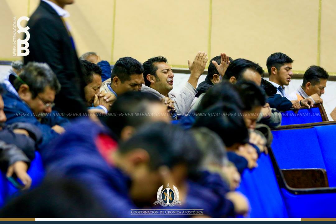 12-11-2018_cca_hp12