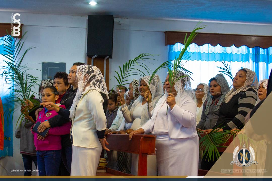 03-16-2019_cca_las_palmas12