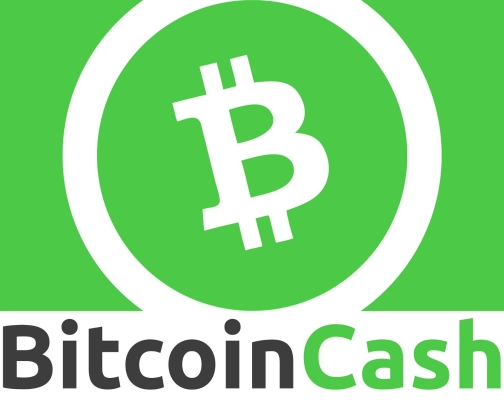 facts_about_bitcoin_cash